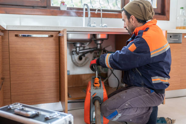 Best Plumbing Inspection Services  in Dland, MI