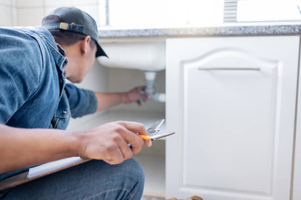 Best Faucet Repair  in Dland, MI