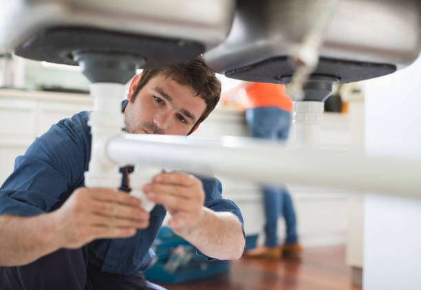 Best Emergency Plumbing Repair  in Dland, MI